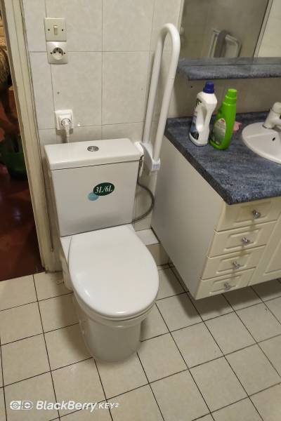 wc sanibroyeur avec barre relevable